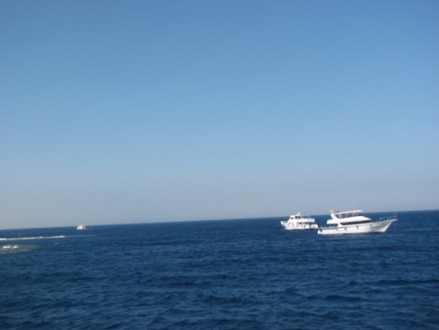 Ras Mohamed - foto