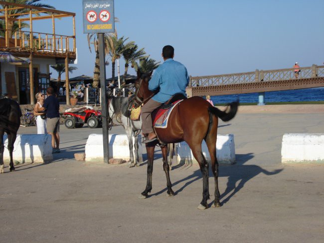 Dahab - foto povečava