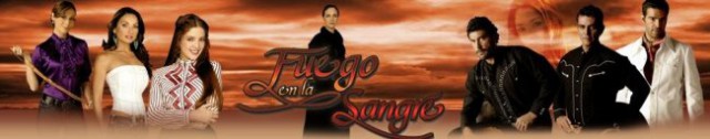 Logo&bannerji - foto
