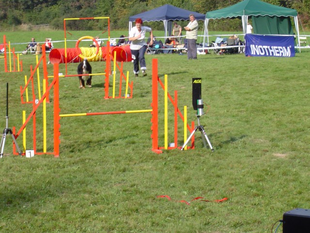 Agility - foto