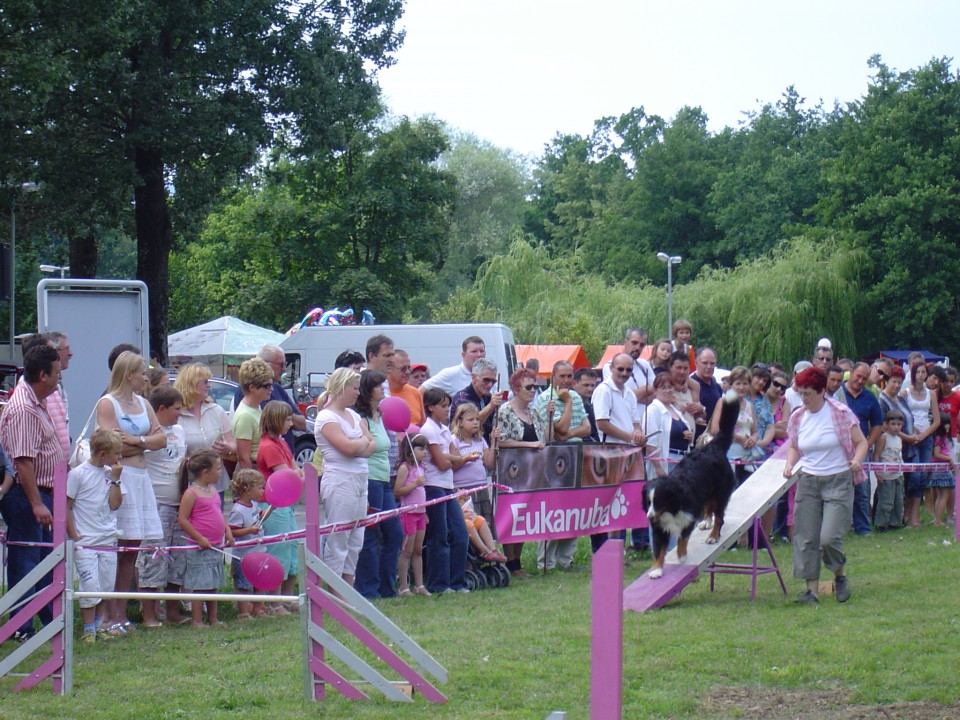 Agility - foto povečava