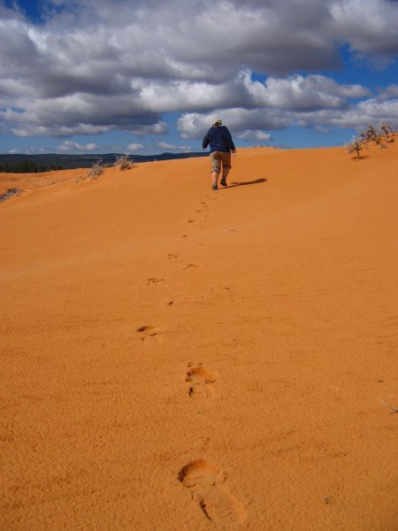 Pink sand dunes