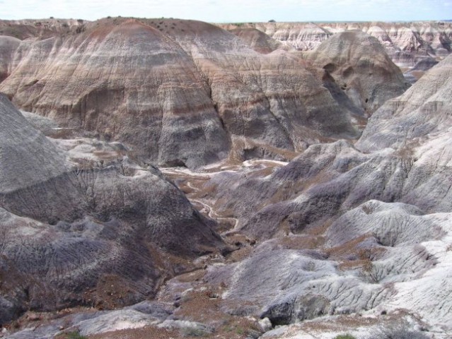 Petrified forest