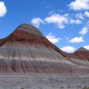 Petrified forest