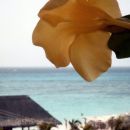 Playa del Carmen, pogled iz hotelske sobe