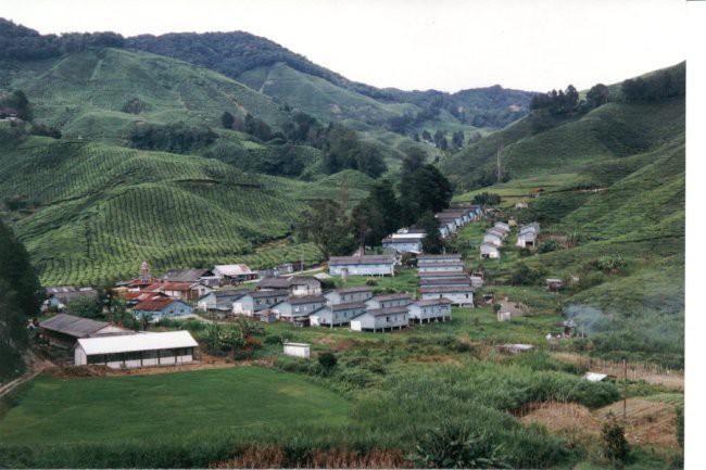 Malezija - Tajska 99-00 - foto povečava