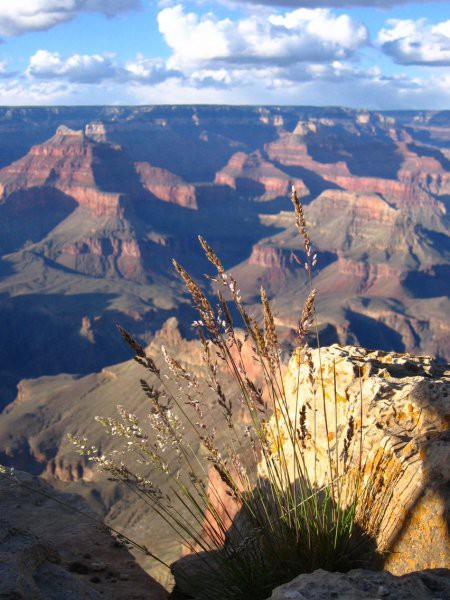 Sončni zahod v Grand Canyon-u