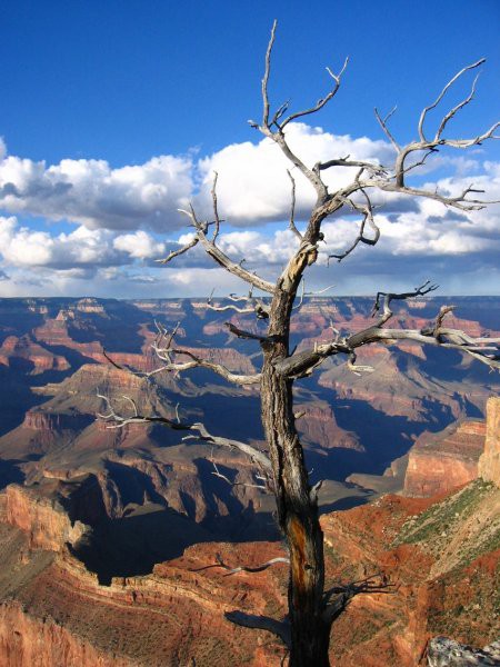 Sončni zahod v Grand Canyon-u