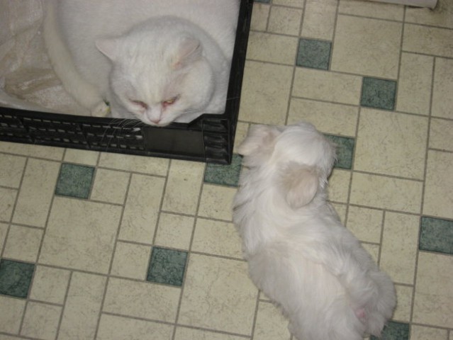 15.3.2008 - foto