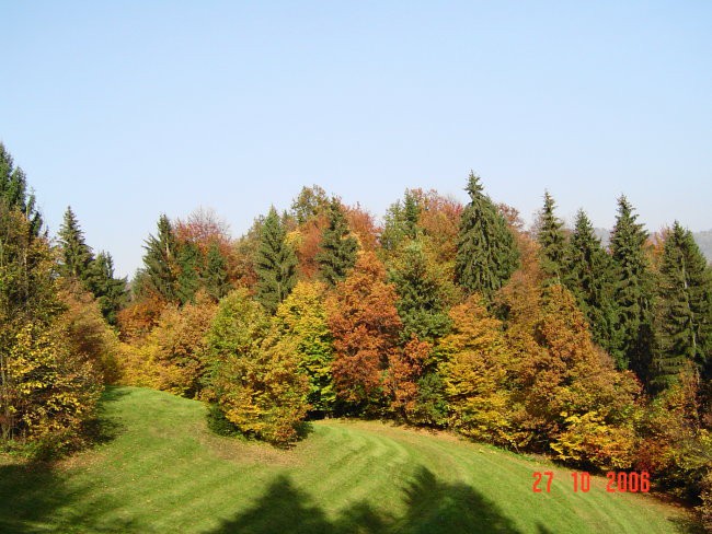 Nature-Magic - foto povečava