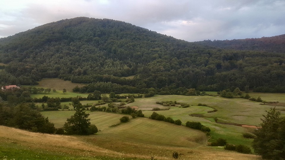 Nutrija - foto povečava