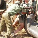 eland loading