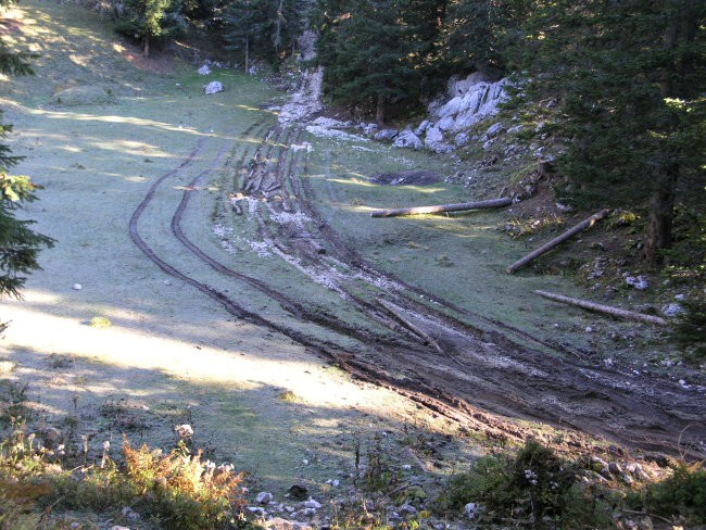 pot na Krstenico - Triglavski narodni park