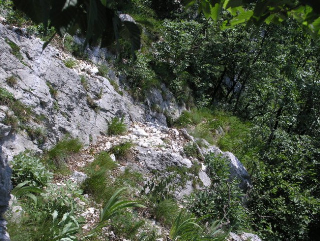 Lovska stezica se izgublja v gozdu in na travah, pod skalami pa je lepo sledljiva.