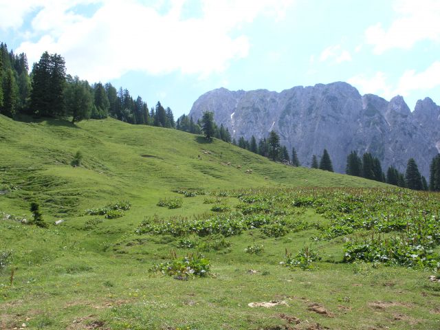 Planina Korošca