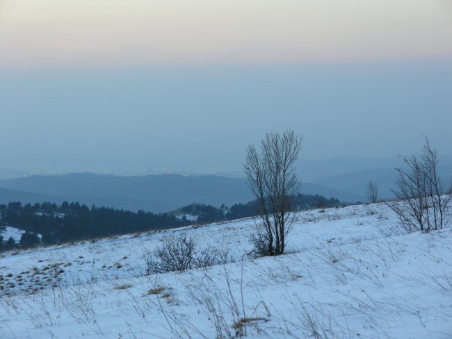 Golič 8. januar 2006 - foto povečava