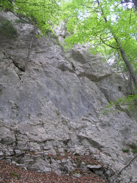 robniške peči na virnikovi strani