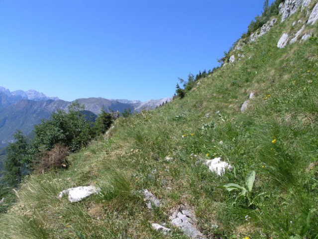 Zaraščena pastirska pot od krnskih jezer proti planini za skalo