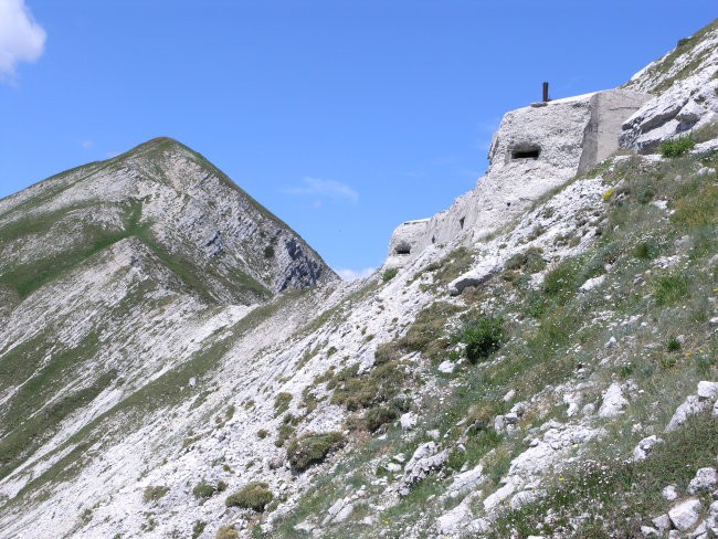 tu naravnost navzgor nazaj na greben - ni se mu treba več umikati