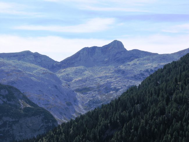 Plaski vogel in travnik 10. do 11. september  - foto povečava