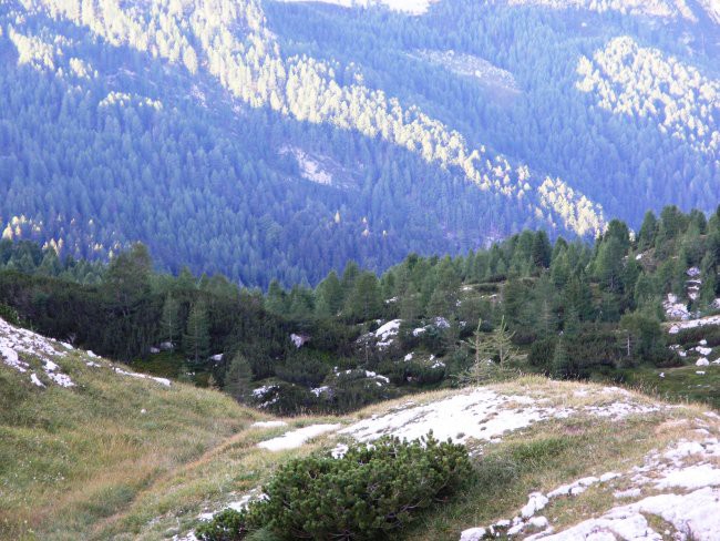 Plaski vogel in travnik 10. do 11. september  - foto povečava