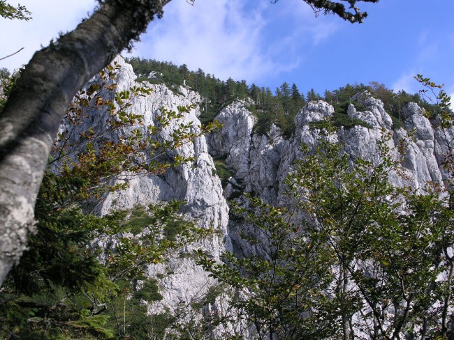 Votlina v varvanju 24. september 2006 - foto povečava