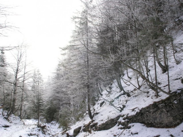 Trupejevo poldne 26. december 2006 - foto