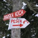 ni kaj, nazaj na pesek