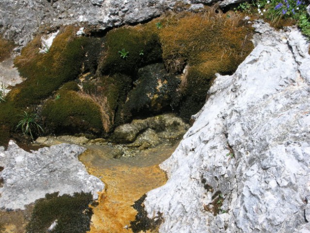 Dleskovška planota in Ojstrica 27. - 28. juli - foto