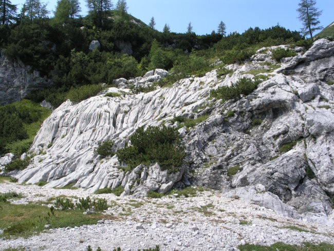 Dleskovška planota in Ojstrica 27. - 28. juli - foto povečava