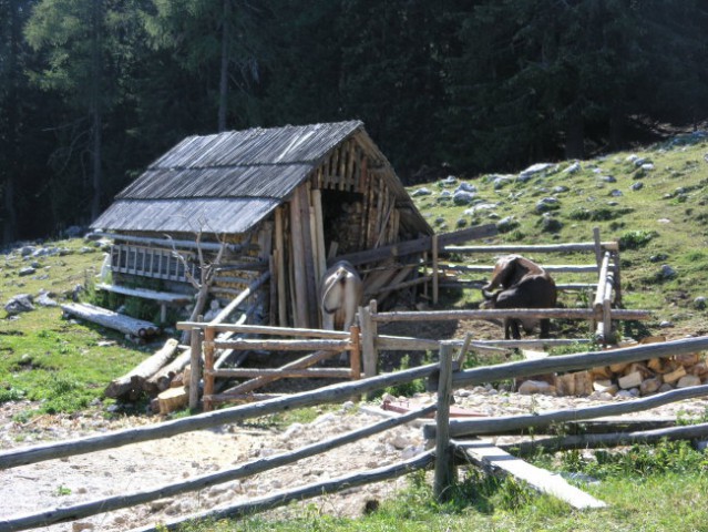 Dleskovška planota in Ojstrica 27. - 28. juli - foto