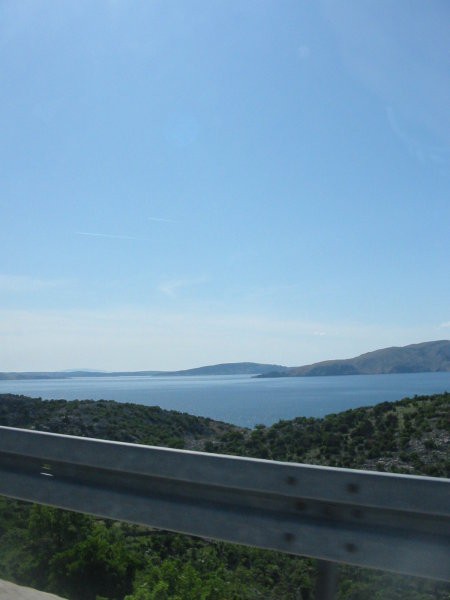 Stinice - foto