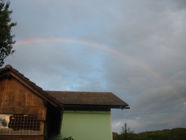 Bannerji, avatarji - foto povečava