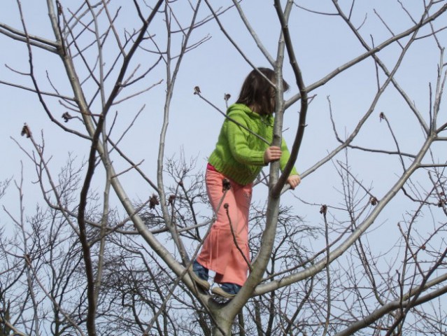 2008.02.22. - Prlekija - foto