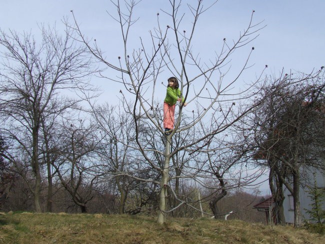 2008.02.22. - Prlekija - foto povečava