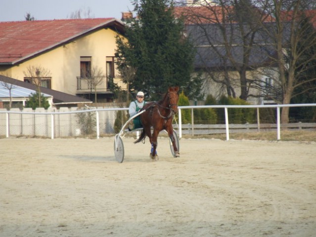 2008.02.22. - Prlekija - foto