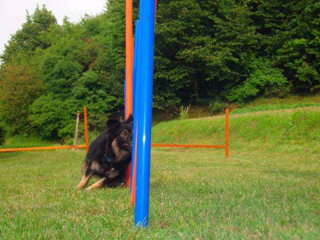 Slalom - foto povečava