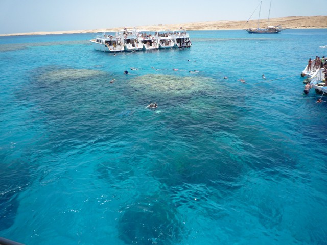 EGIPT-SINAJ-Sharm el Sheikh-Hauza Beach Resor - foto povečava