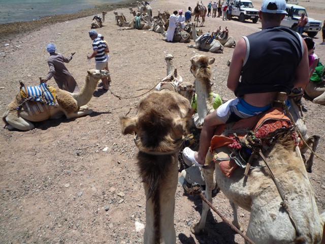 EGIPT-SINAJ-Sharm el Sheikh-Hauza Beach Resor - foto povečava