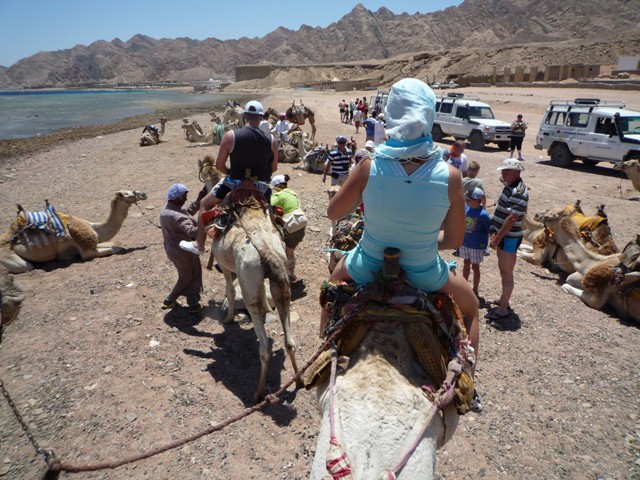 EGIPT-SINAJ-Sharm el Sheikh-Hauza Beach Resor - foto povečava