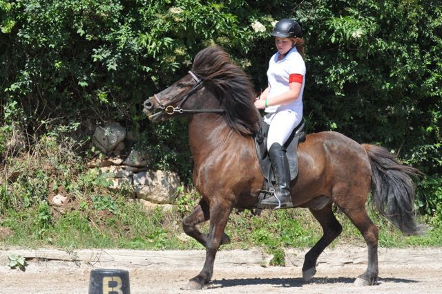 Trnje 2012 - foto povečava