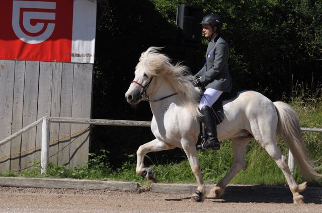 Trnje 2012 - foto povečava