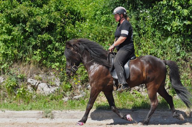 Trnje 2012 - foto povečava