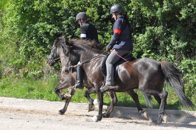 Trnje 2012 - foto povečava