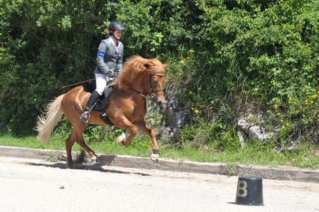 Trnje 2012 - foto povečava