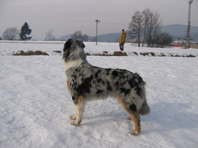 Blum februarske 2006 - foto