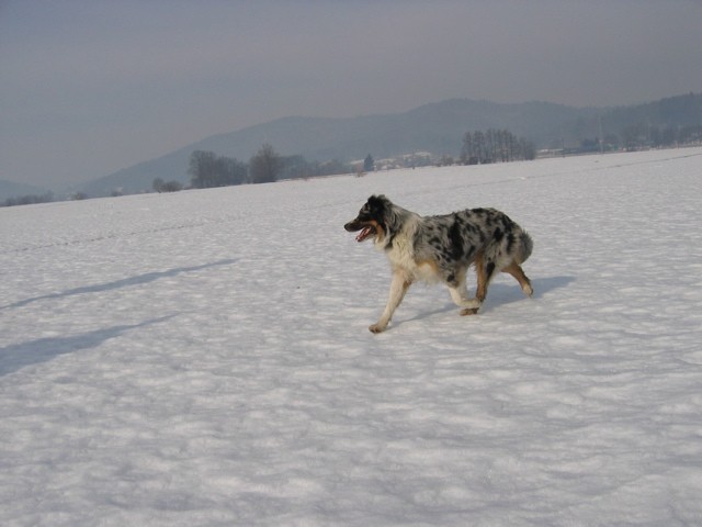 Blum februarske 2006 - foto