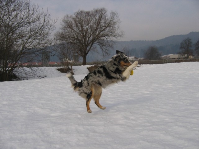 Blum februarske 2006 - foto