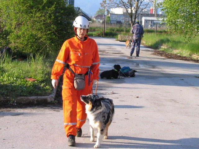 Trening KD Krim v Celju - foto