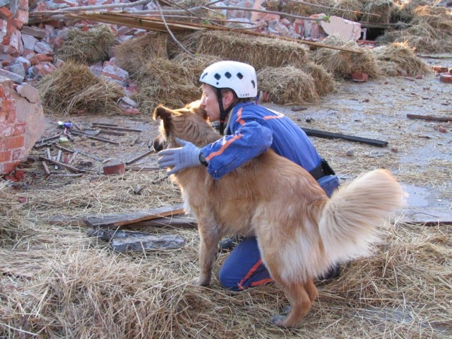 Trening KD Krim v Celju - foto